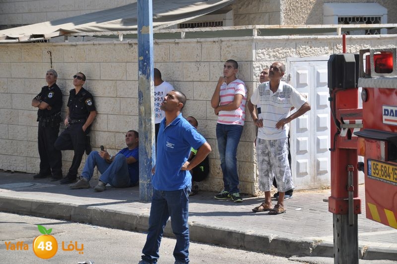 cat lud 910 (12).JPG